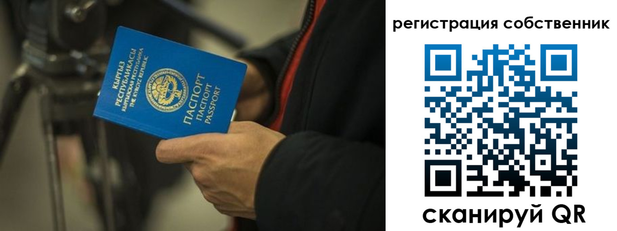 временная регистрация поиск в Малой Вишере